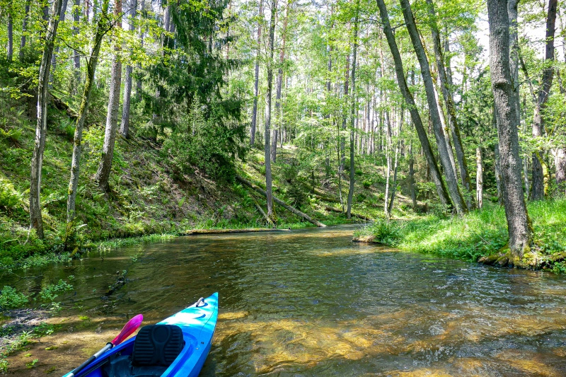 Rzeka Marózka - odcinek Swaderki - Kurki